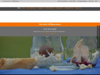 ehba-catering.at Webseite Vorschau