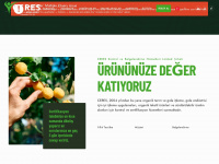 ceres-cert.com.tr Webseite Vorschau