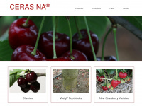 cerasina.com Webseite Vorschau
