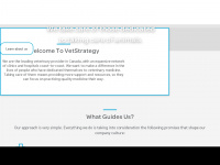 vetstrategy.com Webseite Vorschau