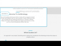 Vetstrategy.com