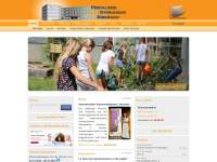 pg-biberach.de Webseite Vorschau