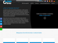 steenks-service.es Thumbnail