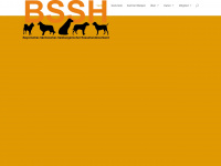 bs-sh.at Webseite Vorschau