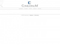 consultinum.com Webseite Vorschau