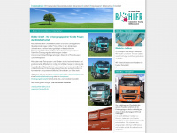 buehler-container.de Webseite Vorschau