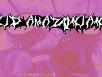 acidamazonians.net Webseite Vorschau