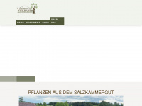 baumschule-vielhaber.at Webseite Vorschau