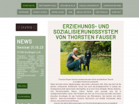 fauser-system.de Webseite Vorschau