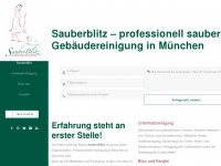 sauberblitz.de Webseite Vorschau