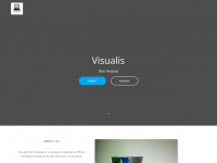 visualisfilmfestival.ru Webseite Vorschau