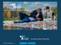 hundeschule-bayerndogs.com