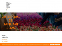 tulpentijd.nl Webseite Vorschau