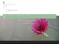 gesundheitspraxis-stoop.ch Webseite Vorschau