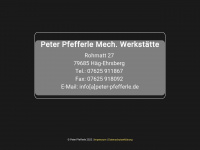 peter-pfefferle.de