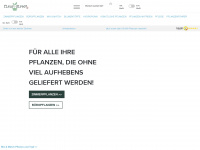 fleurdirect.com Webseite Vorschau
