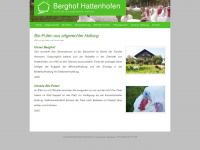 berghof-hattenhofen.de Webseite Vorschau