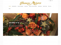 blumen-meister.com Webseite Vorschau