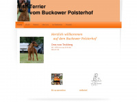 irish-buckowerpolsterhof.com Webseite Vorschau