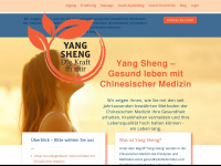 yangsheng-gesund-leben.de Webseite Vorschau