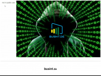 busint.de Webseite Vorschau