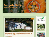 pumpkinbeth.com