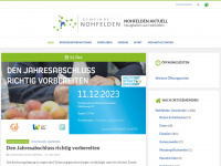 nohfelden-aktuell.de Webseite Vorschau