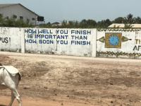 Gambia-dortmund.de