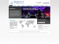 manalytical.com Webseite Vorschau