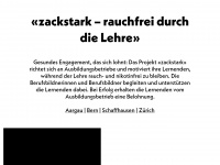 zackstark.ch Webseite Vorschau