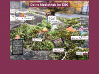 esg-medi.de Webseite Vorschau
