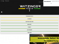 watzinger-power.at Webseite Vorschau