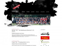 handball-gefrees.de Webseite Vorschau