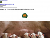schweinestiftung.de Webseite Vorschau