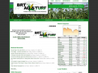 brtagandturf.net Webseite Vorschau