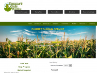 dummersgrain.com Webseite Vorschau