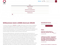 loewe-druid.de Webseite Vorschau