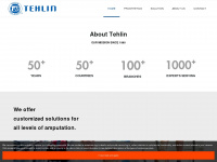 tehlin.com