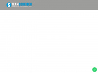 team-scheiben.ch Webseite Vorschau