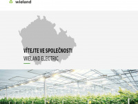 wieland-electric.cz Webseite Vorschau
