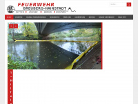 ff-hainstadt.de Webseite Vorschau