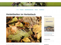 tiergarten.blog Webseite Vorschau