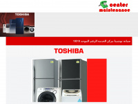 toshiba-customer.com