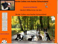 border-vom-aacher-schauinsland.de Webseite Vorschau