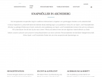 knapmöller.de Webseite Vorschau