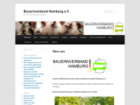 bv-hamburg.net Webseite Vorschau