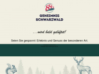 geheimnis-schwarzwald.de Webseite Vorschau