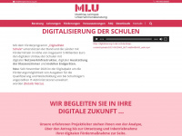 digitalisierung-in-der-schule.de Webseite Vorschau