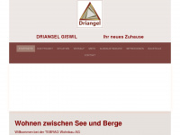 driangel-giswil.ch Webseite Vorschau