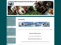 meerschweinchenclubbayern-mcb.de Thumbnail